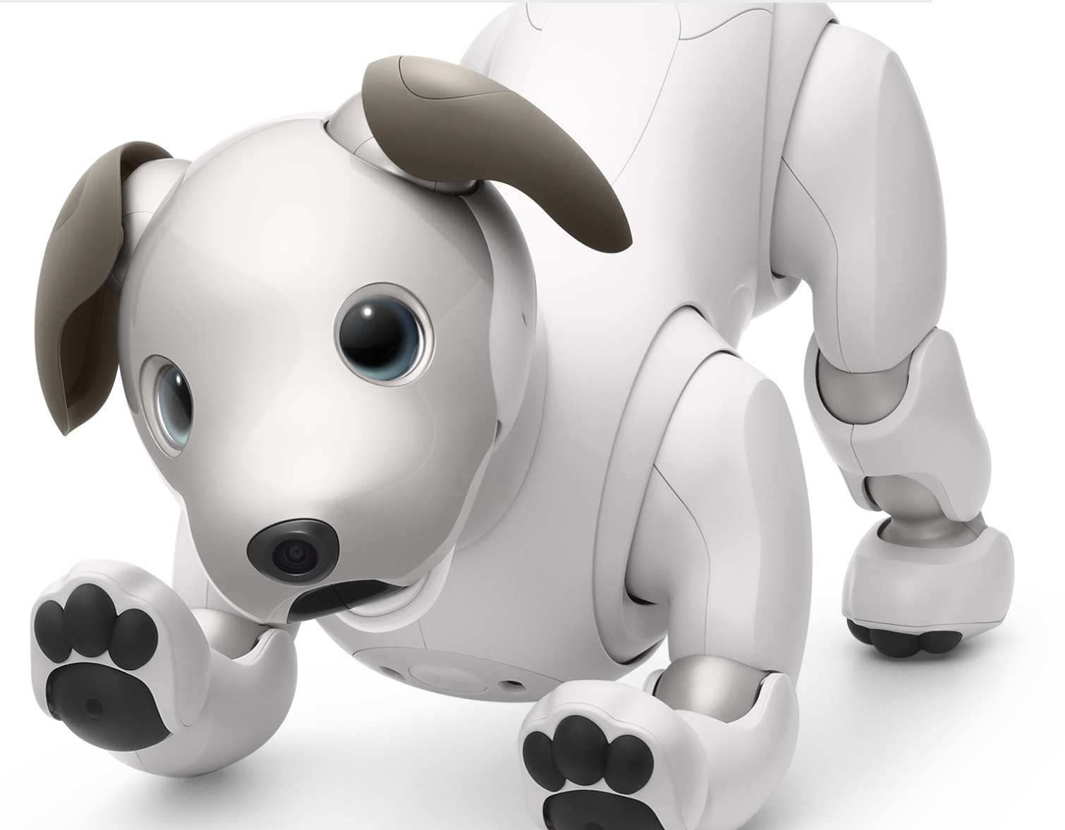 Собака-робот Sony’s Aibo