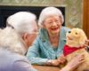 Robot Pets for Elderly and Dementia Patients - Speech recognition