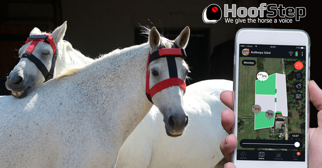 Hoofstep Horse wearable Monitor AI - YellRobot