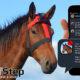 Hoofstep Horse wearable Monitor AI - YellRobot