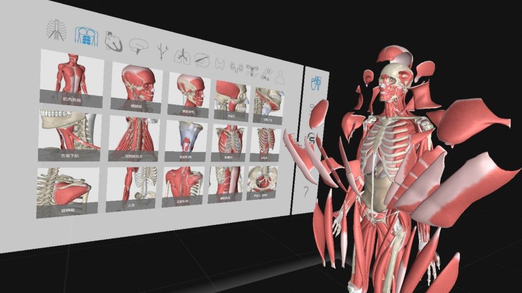 VR Anatomy Lab - YellRobot