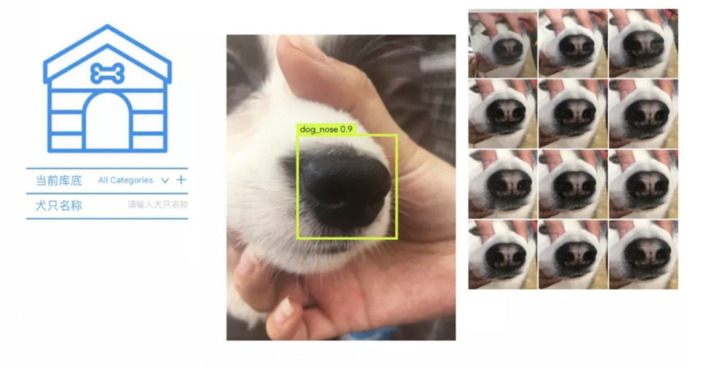 Dog Facial Recognition Megvii AI - YellRobot