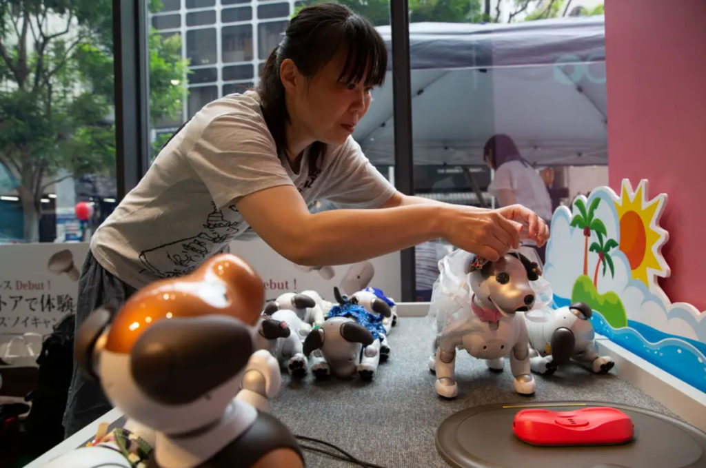 aibo robot dog playdate cafe - YellRobot