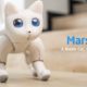 Robot Cat MarsCat Bionic- YellRobot