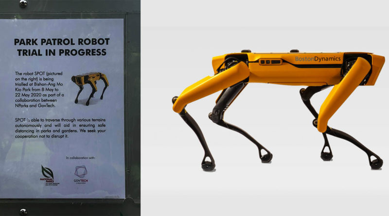 Singapore SPOT Robot COVID-19 - YellRobot